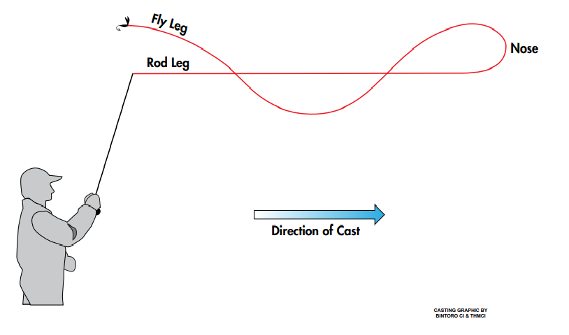 Tailing Loop